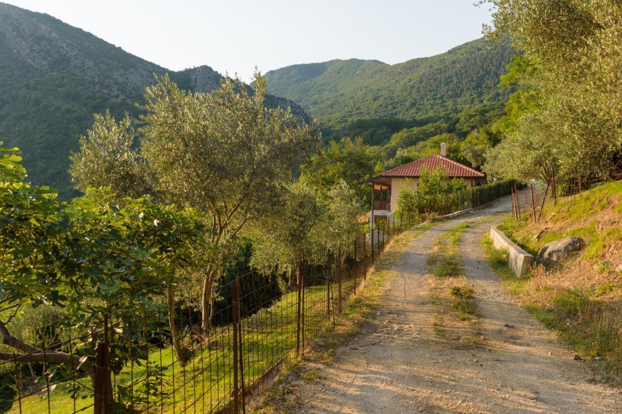 Sunset Holiday Home Tivat Buitenkant foto